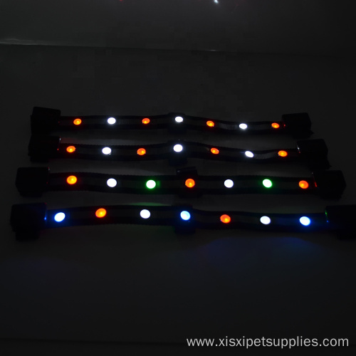 High Quality Waterproof LED Light Horse Head Collar